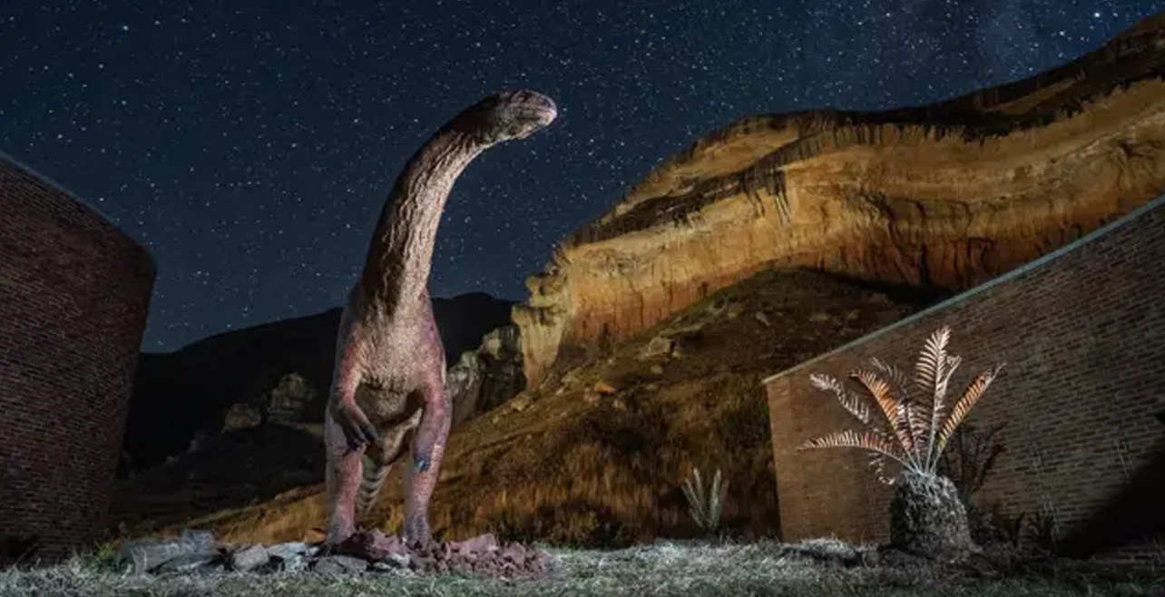 Entrance to Kgodumodumo Dinosaur Interpretation Centre in FS free for all SAns until 30 Sept